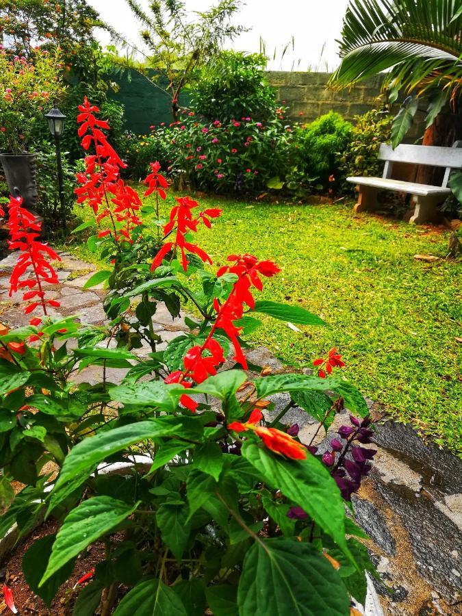 Barefoot Inn Kandy Ngoại thất bức ảnh